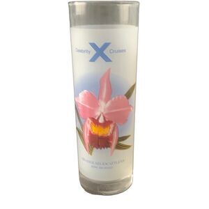 Vintage Celebrity Cruises Frosted High Ball Cocktail Recipe Glass King Richard